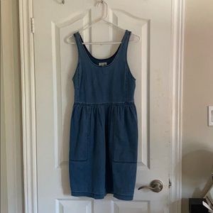 Aritzia Denim Dress